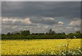 Dark sky over Balsham