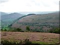 Horseshoe Pass hillside