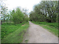 Looking along the old line from Rudyard Station