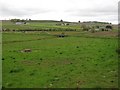 Grassland, East Adamston