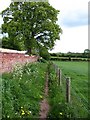 Path at the edge of the village