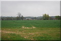 Wheat field east of the path to Bulls Farm