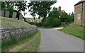 The Main Street of Freeby