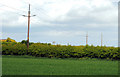 Power lines near Newtownards