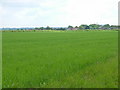 Ex airfield and edge of housing estate