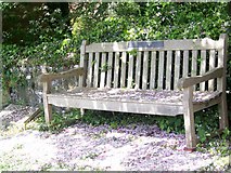 ST9917 : Memorial bench, Sixpenny Handley by Maigheach-gheal