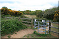 Kissing gate onto Turbary Common