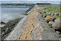 R3268 : River Fergus at Islandavanna Lower by Graham Horn