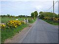 The New Road, Carrowdore