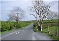 The Cardy Road, Ballyboley