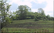 ST5043 : Fenny Castle motte and bailey by Sarah Charlesworth