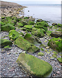 J5082 : Rocky shoreline, Bangor by Rossographer