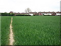 Footpath from Wood Farm approaching Ansley