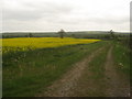 Footpath towards Kent Brook