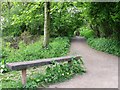 Path at Greenslate Water Meadow