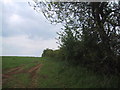 Field boundary west of Tadmarton