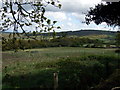 Brithdir Mawr stone circle