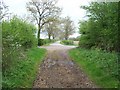 Bridleway to Swailsford Bridge [3]