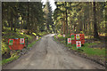 Forestry road in Strathyre Forest