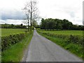 H4319 : Road at Drumboghanagh by Kenneth  Allen
