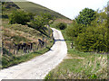 Reddyshore Scout Gate (Pennine Bridleway)