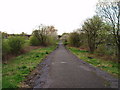 Cycle track Linwood