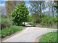 Driveway to Longdon Manor