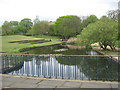 Ornamental pond in County Hall Grounds Durham City