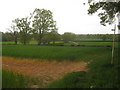 Footpath junction near Dencross Farm