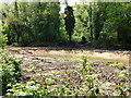 New pond on Oldbury Road