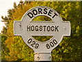 ST9506 : Hogstock: detail of finger-post finial by Chris Downer