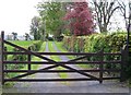 The gateway to the Glebe House at Maghera