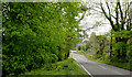 The Castleward Road, Strangford