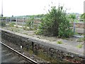 Platform remains of Taybridge Station