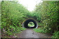 The Downs Link goes under Stane Street