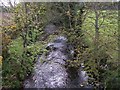 Carrigs River below Maghera Bridge