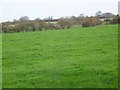 Footpath across the field, Townsend