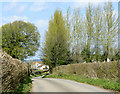 2010 : B3356 looking north approaching Chilcompton