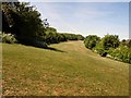 Three Cornered Copse