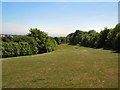 Three Cornered Copse looking South