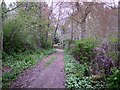 Track to the ford east of Harbottle village