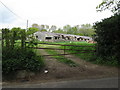 Derelict poultry sheds near Lickfold