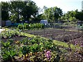 Allotments, Wasperton Lane, Barford