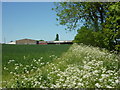 View to Sheds Farm