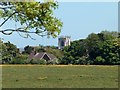 The edge of the Westwood - view towards St Mary