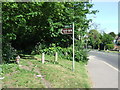 Footpath to Coombe Wood