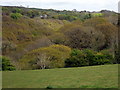 Looking towards Cwrt from Ty Hen