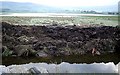 Flooded pasture by East Mains, Auchlossan