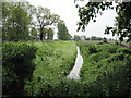 Drain  from  Yokefleet  to  the  River  Ouse