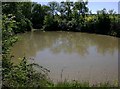 Carp pond near Berryfield Farm